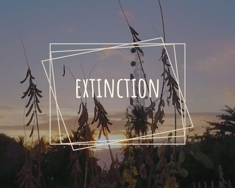 Extinction: Our Downfall