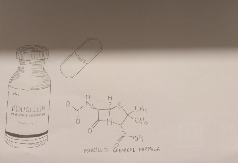 What Is The Meaning Of Penicillin In Malayalam