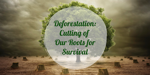 Deforestation: Cutting of Our Roots for Survival